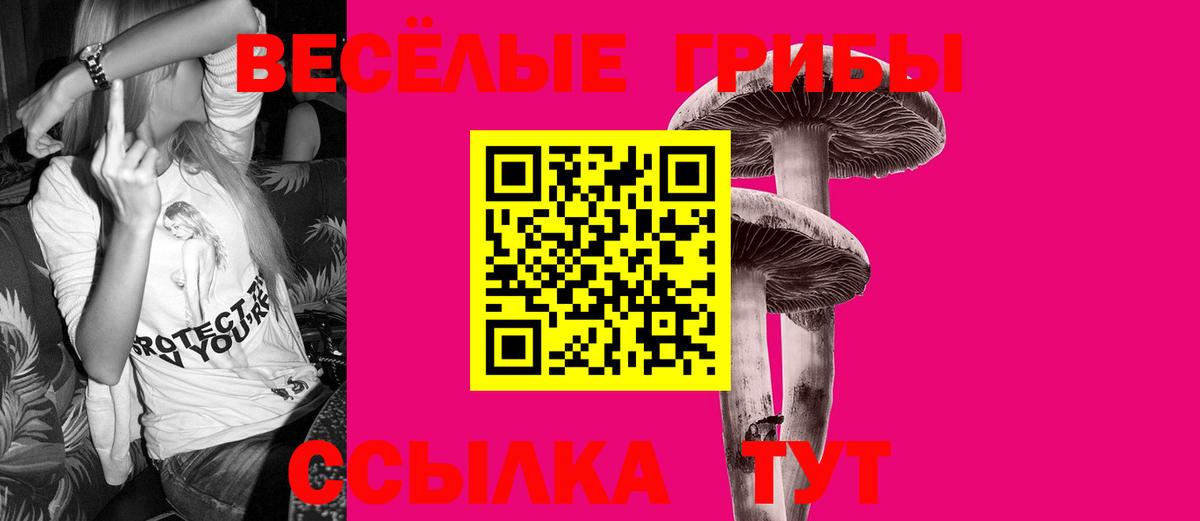 Псилоцибиновые грибы мицелий  Вход с VPN  Белореченск 